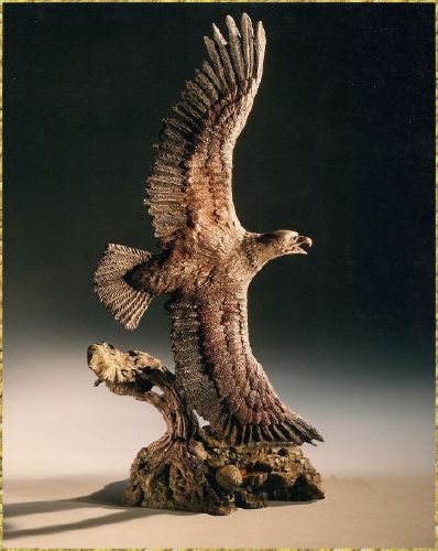 Bald Eagle in Flight